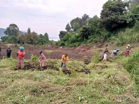Sécurité alimentaire dans les familles vulnérables du territoire de Kalehe au Sud-Kivu