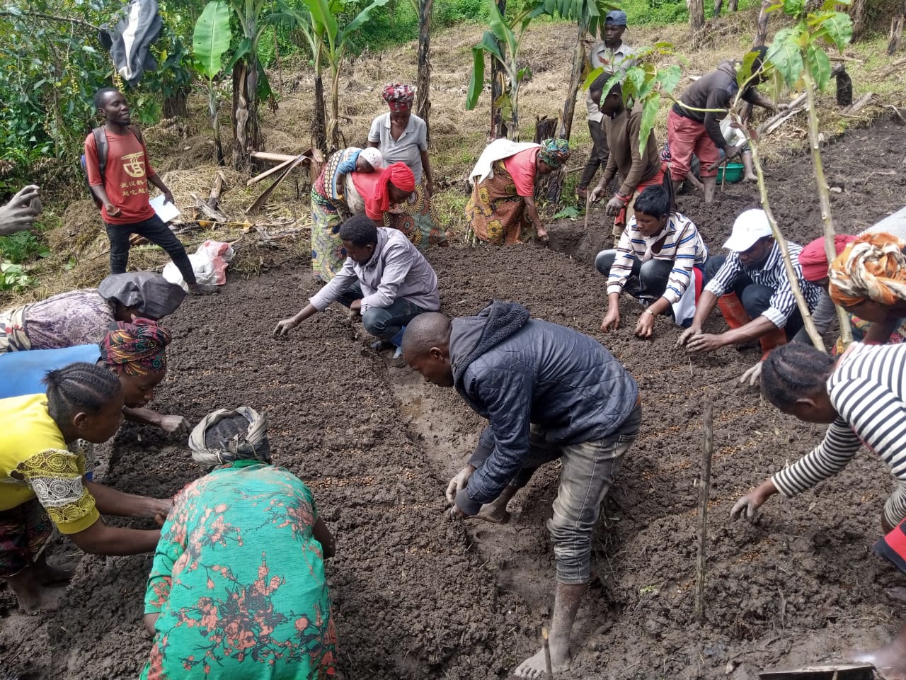 Programme de rapprochement des peuples autochtones et communautés locales aux aires protégées en RDC, PRPACL-APs RDC.